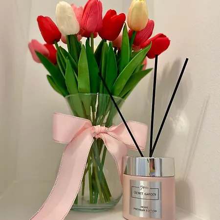 Synthesis Апартаменты Суботица